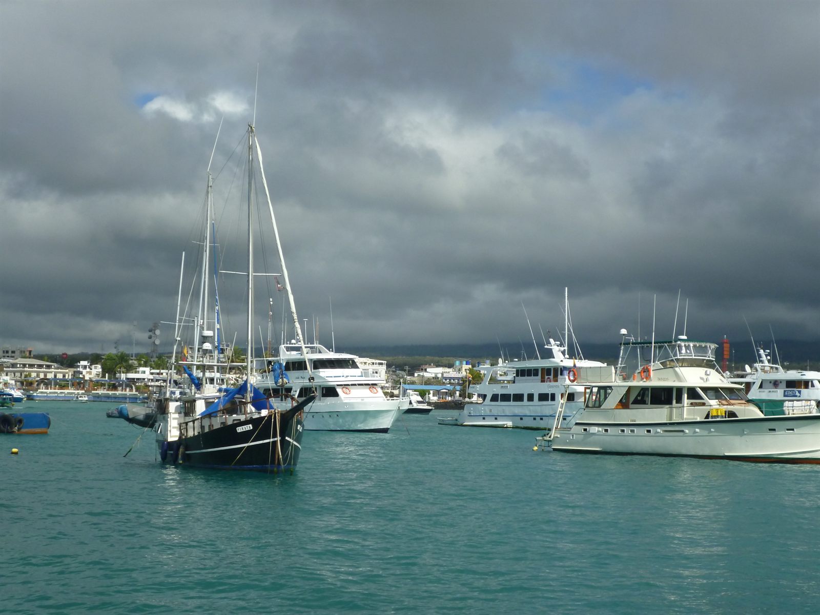 Sail boats and motor boats moored in the harbor at Puerto Ayora, Galápagos Islands, Ecuador
