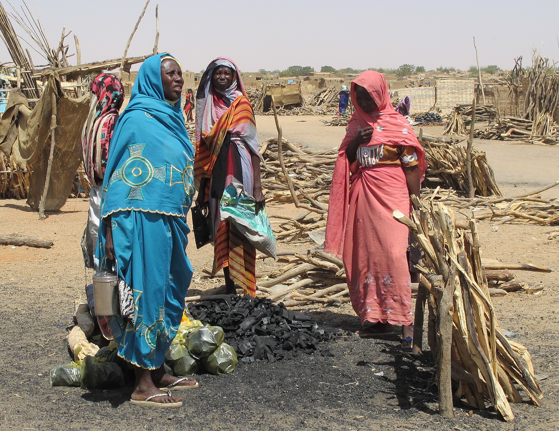 The city of El Fasher in North Darfur, Sudan
