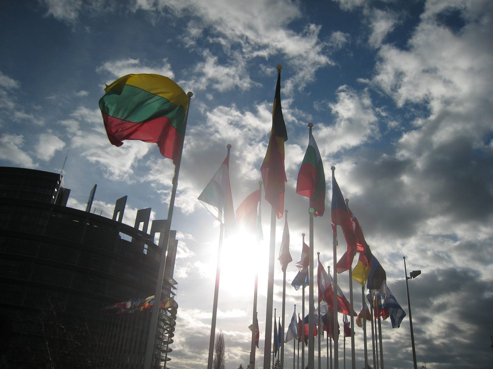 Syced / Wikimedia Commons · CC0 Row of European Union flags flying outside the European Parliament building in Strasbourg
